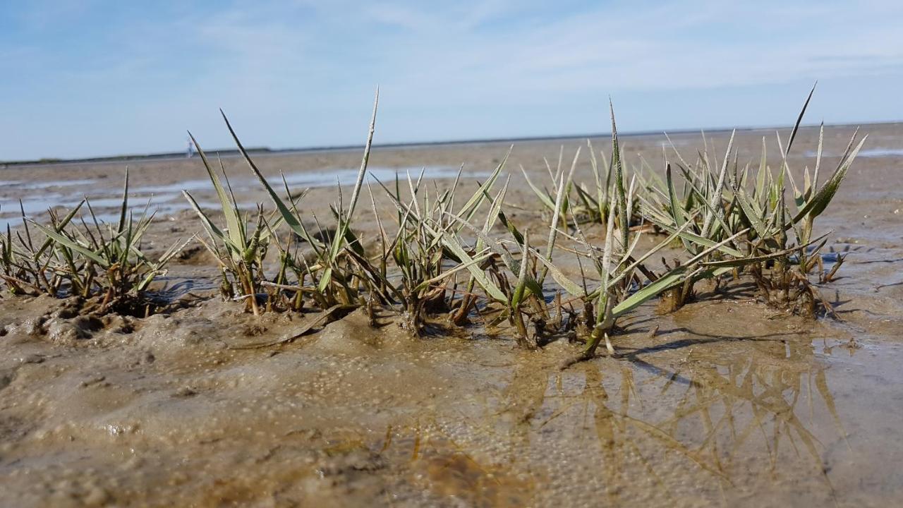 Flut Διαμέρισμα Norden Εξωτερικό φωτογραφία